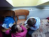DSCN6703.jpg