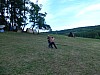 DSCN6714.jpg
