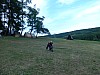 DSCN6715.jpg