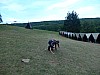 DSCN6718.jpg