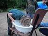 DSCN6739.jpg