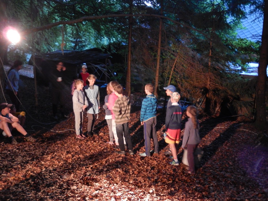 DSCN8329.jpg