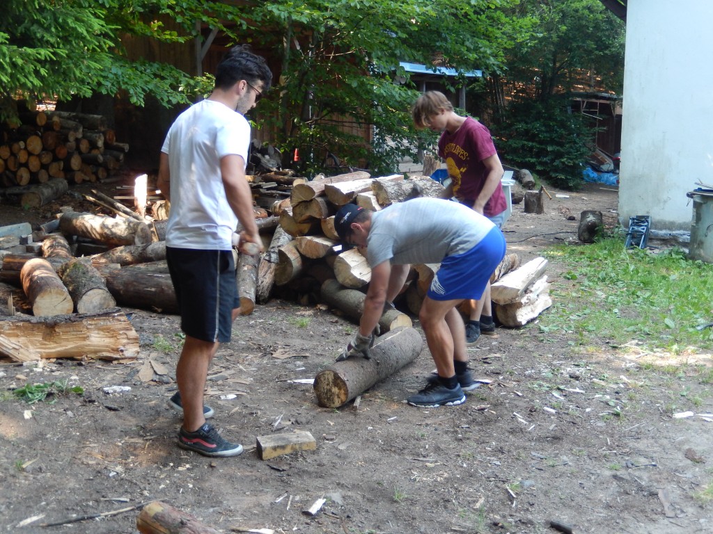 DSCN8374.jpg