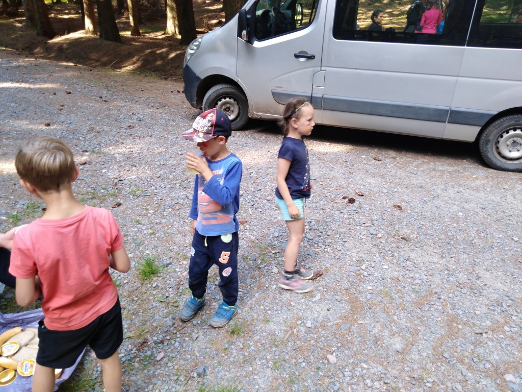 IMG_20190711_160954.jpg