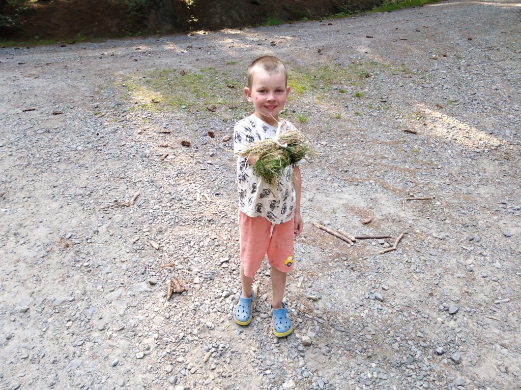 IMG_20190711_172114.jpg