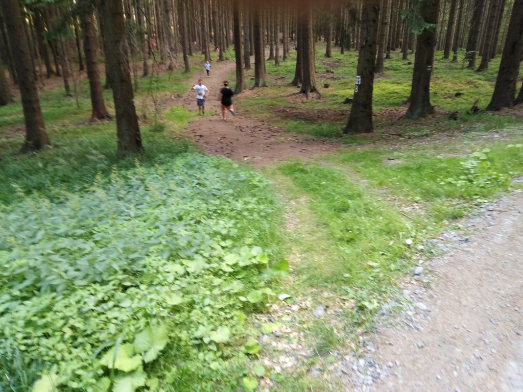 IMG_20190711_172203.jpg