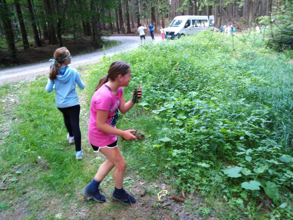 IMG_20190711_172226.jpg