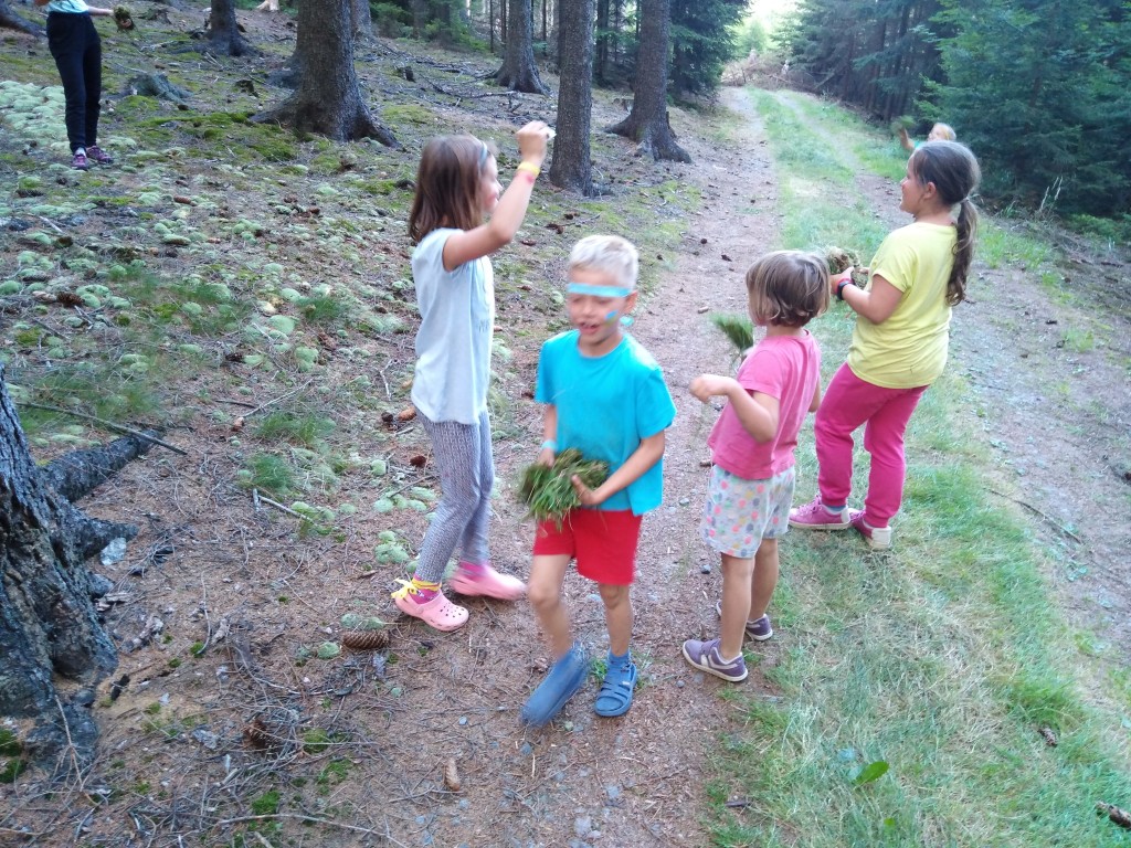 IMG_20190711_172944.jpg