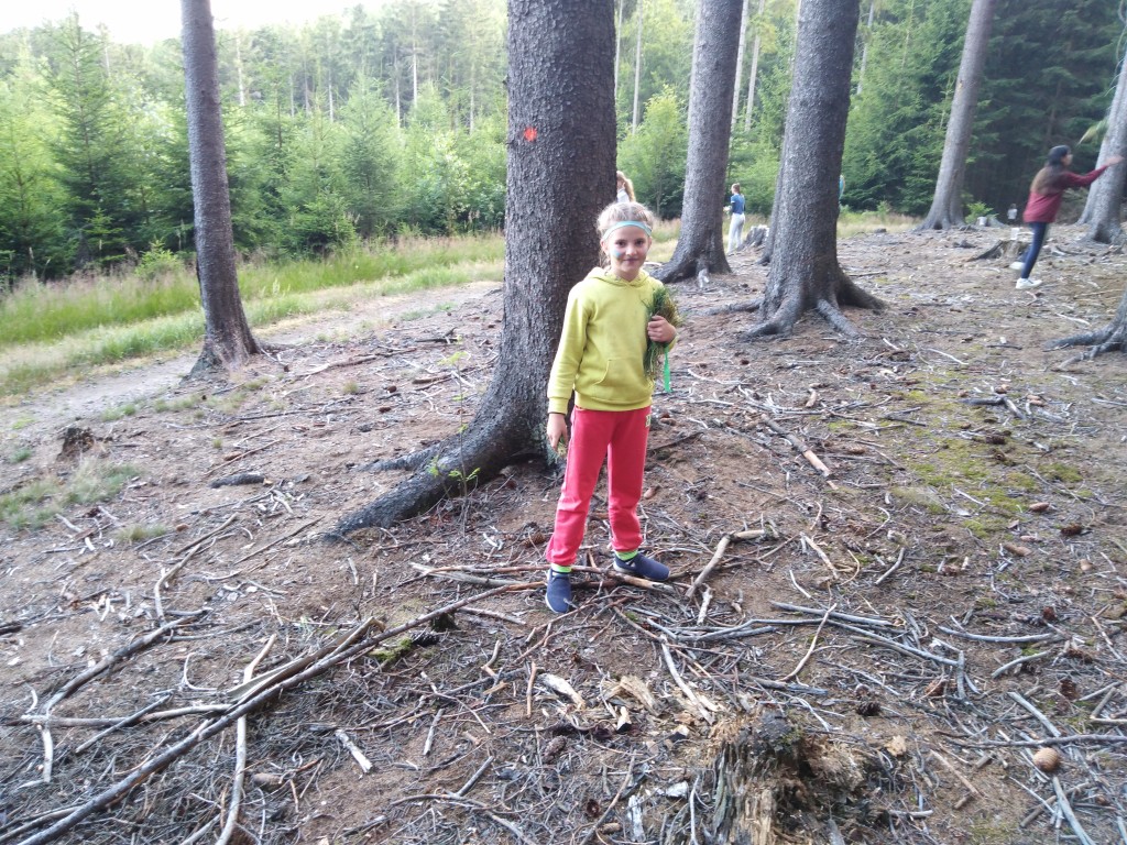 IMG_20190711_173306.jpg
