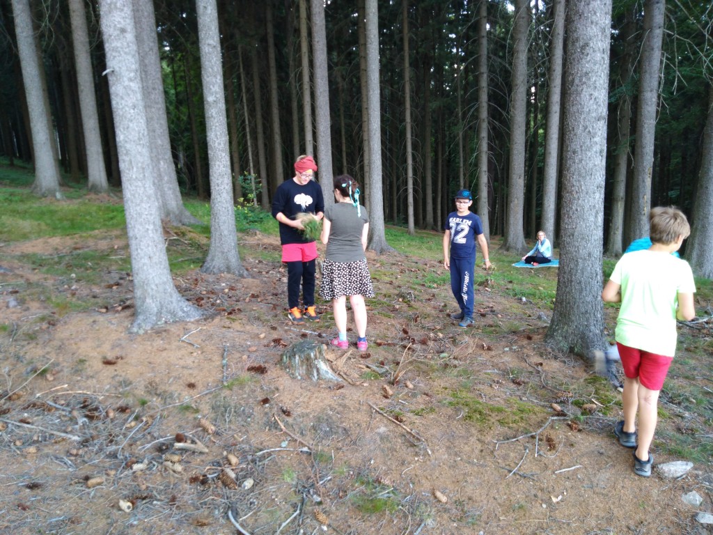 IMG_20190711_173334.jpg