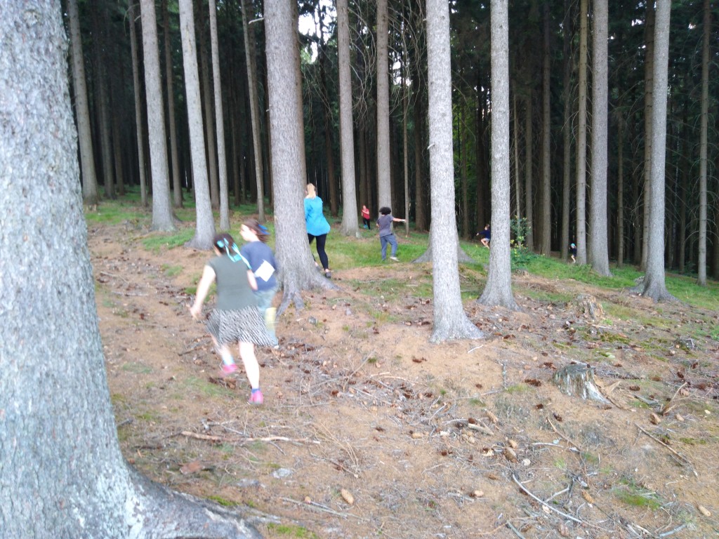 IMG_20190711_173410.jpg