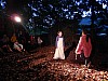 DSCN8347.jpg