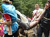 DSCN8568.jpg