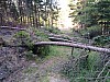 IMG_20190708_173039.jpg
