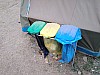 IMG_20190710_175721.jpg