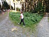 IMG_20190711_172126.jpg