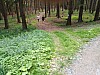 IMG_20190711_172203.jpg