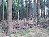 IMG_20190711_172406.jpg