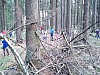 IMG_20190711_172525.jpg