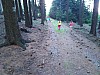 IMG_20190711_172929.jpg