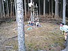 IMG_20190711_173250.jpg