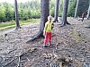 IMG_20190711_173306.jpg