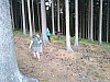 IMG_20190711_173410.jpg