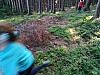 IMG_20190711_173544.jpg