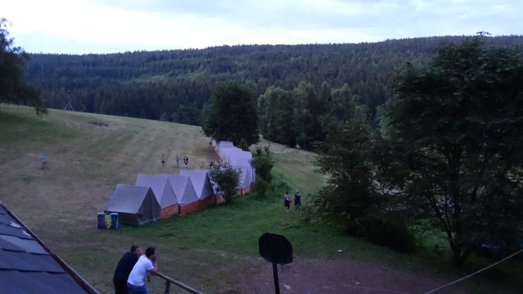 DSC01393.jpg