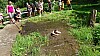 DSC01466.jpg