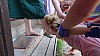 DSC01474.jpg
