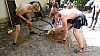 DSC01720.jpg