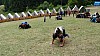 DSC01886.jpg