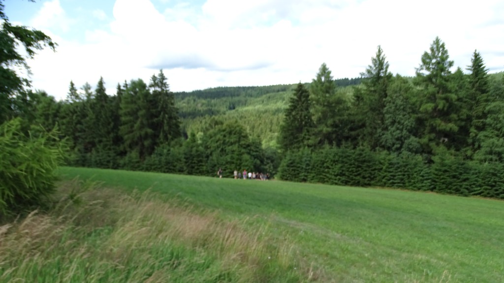 DSC02377.jpg