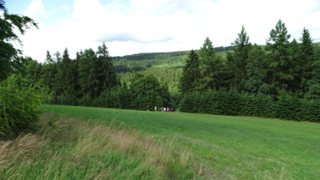 DSC02379.jpg