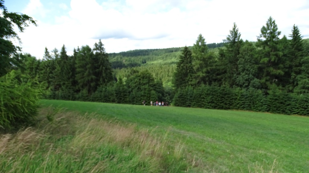 DSC02380.jpg