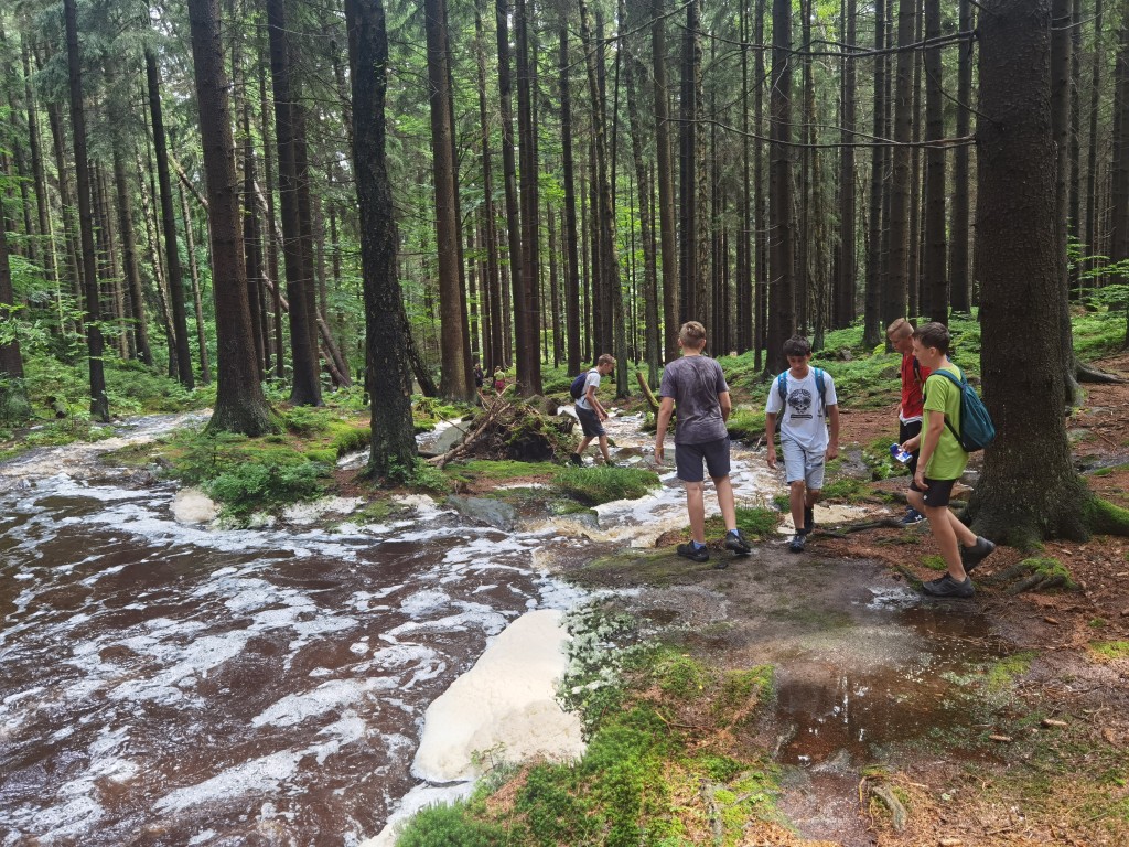 IMG_20210709_113317.jpg