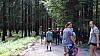 DSC02339.jpg