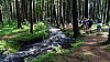 DSC02361.jpg