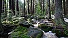 DSC02368.jpg