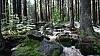 DSC02369.jpg