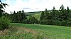 DSC02378.jpg