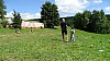 DSC02593.jpg