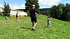 DSC02594.jpg