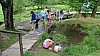 DSC02667.jpg