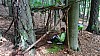 DSC02700.jpg
