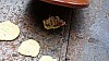 DSC02743.jpg