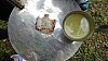 DSC02751.jpg