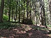 IMG_20210706_113128.jpg