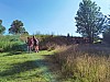 IMG_20210707_165929.jpg